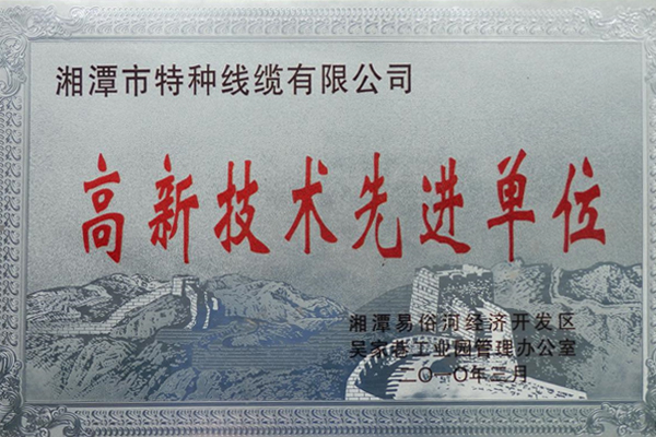 201003高新技術(shù)先進(jìn)單位.jpg 201003高新技術(shù)先進(jìn)單位.jpg