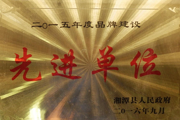 2015品牌建設(shè)先進(jìn)單位.jpg