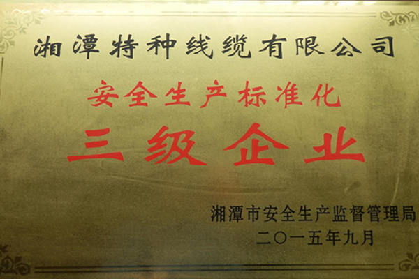 201509安全生產(chǎn)標(biāo)準(zhǔn)化三級(jí)企業(yè).jpg
